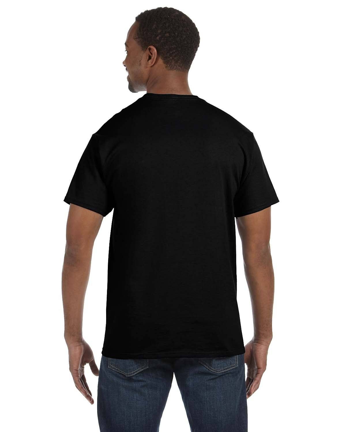 Hanes 5250 Authentic T-Shirt